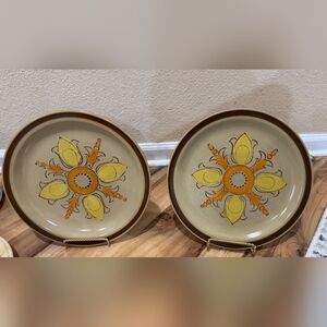 Hearthside HandPainted Stoneware Plates Set of 2 Made in Japan Ovenproof Vintage